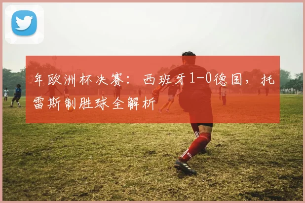 年欧洲杯决赛：西班牙1-0德国，托雷斯制胜球全解析