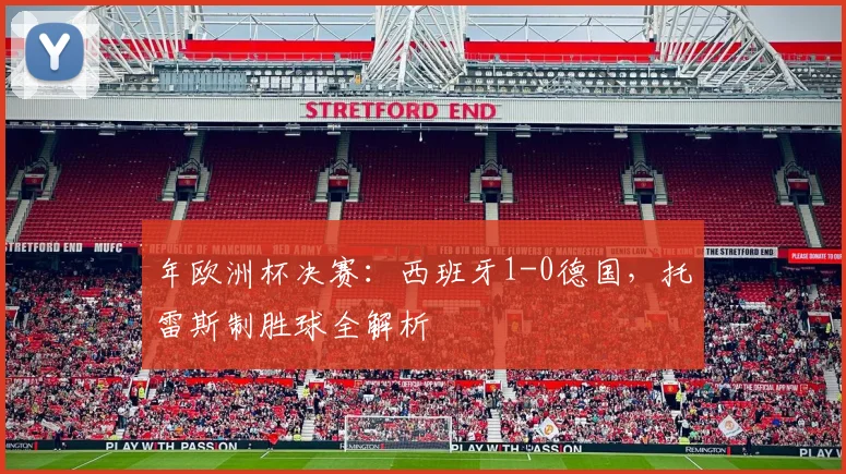 年欧洲杯决赛：西班牙1-0德国，托雷斯制胜球全解析