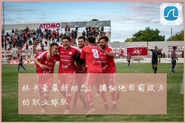 林书豪最新动态:揭秘他目前效力的职业球队