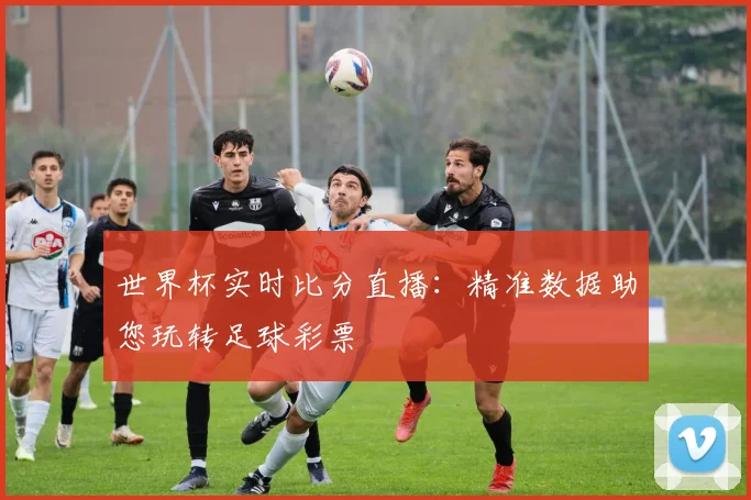 世界杯实时比分直播：精准数据助您玩转足球彩票