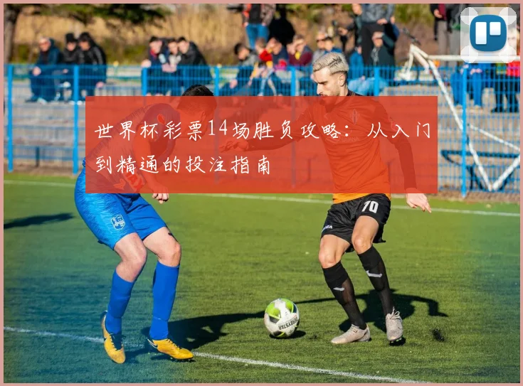 世界杯彩票14场胜负攻略:从入门到精通的投注指南