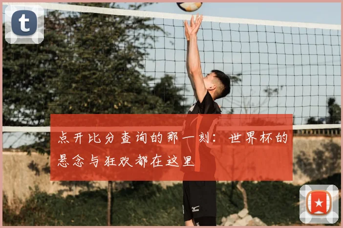 点开比分查询的那一刻：世界杯的悬念与狂欢都在这里