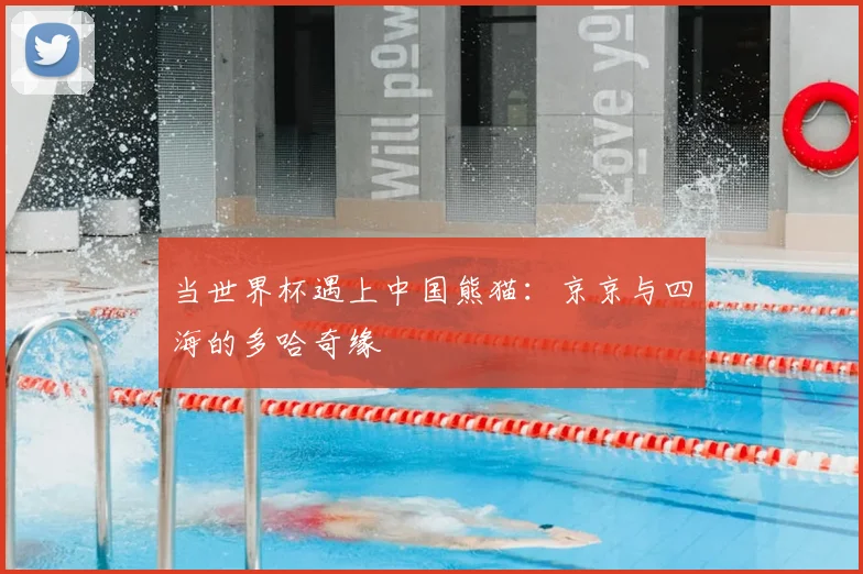 当世界杯遇上中国熊猫：京京与四海的多哈奇缘