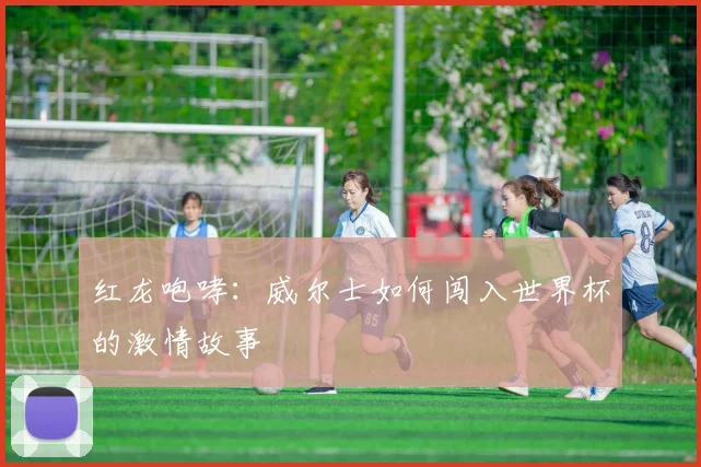 红龙咆哮:威尔士如何闯入世界杯的激情故事